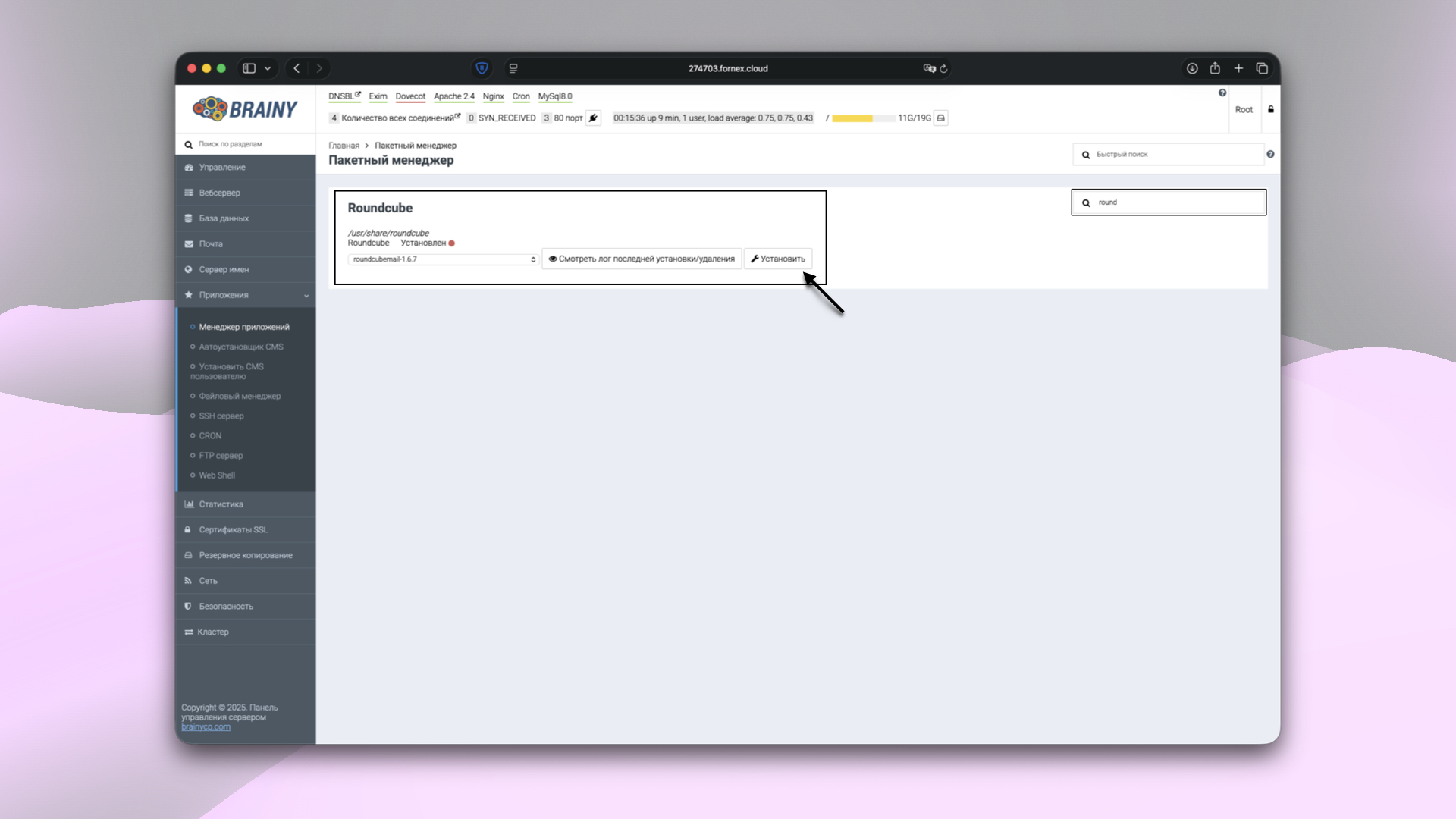 Установка приложения в BrainyCP
