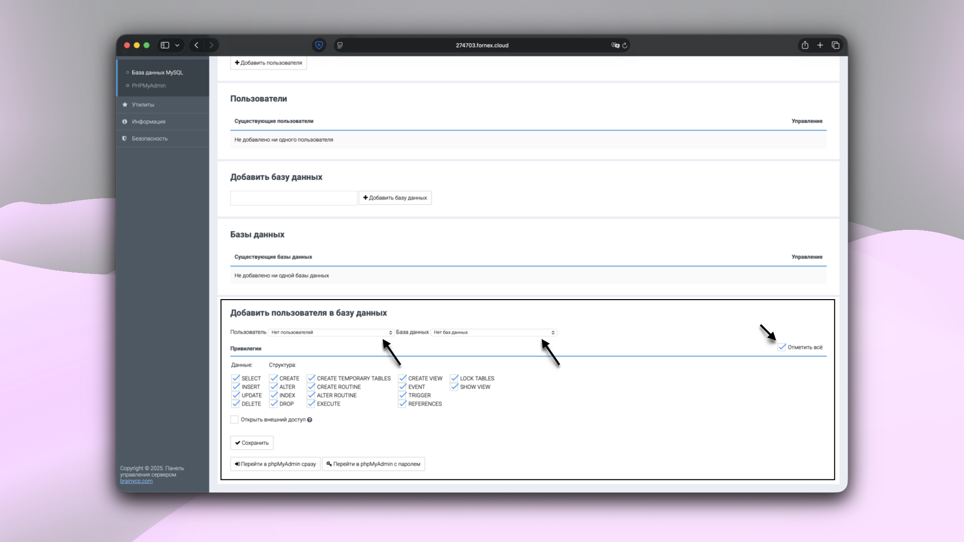 Настройка прав пользователя базы данных в BrainyCP