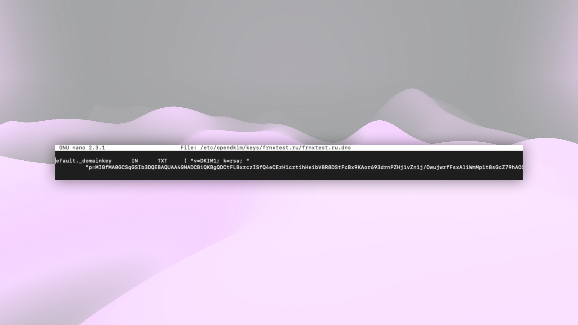 Файл с записью DKIM