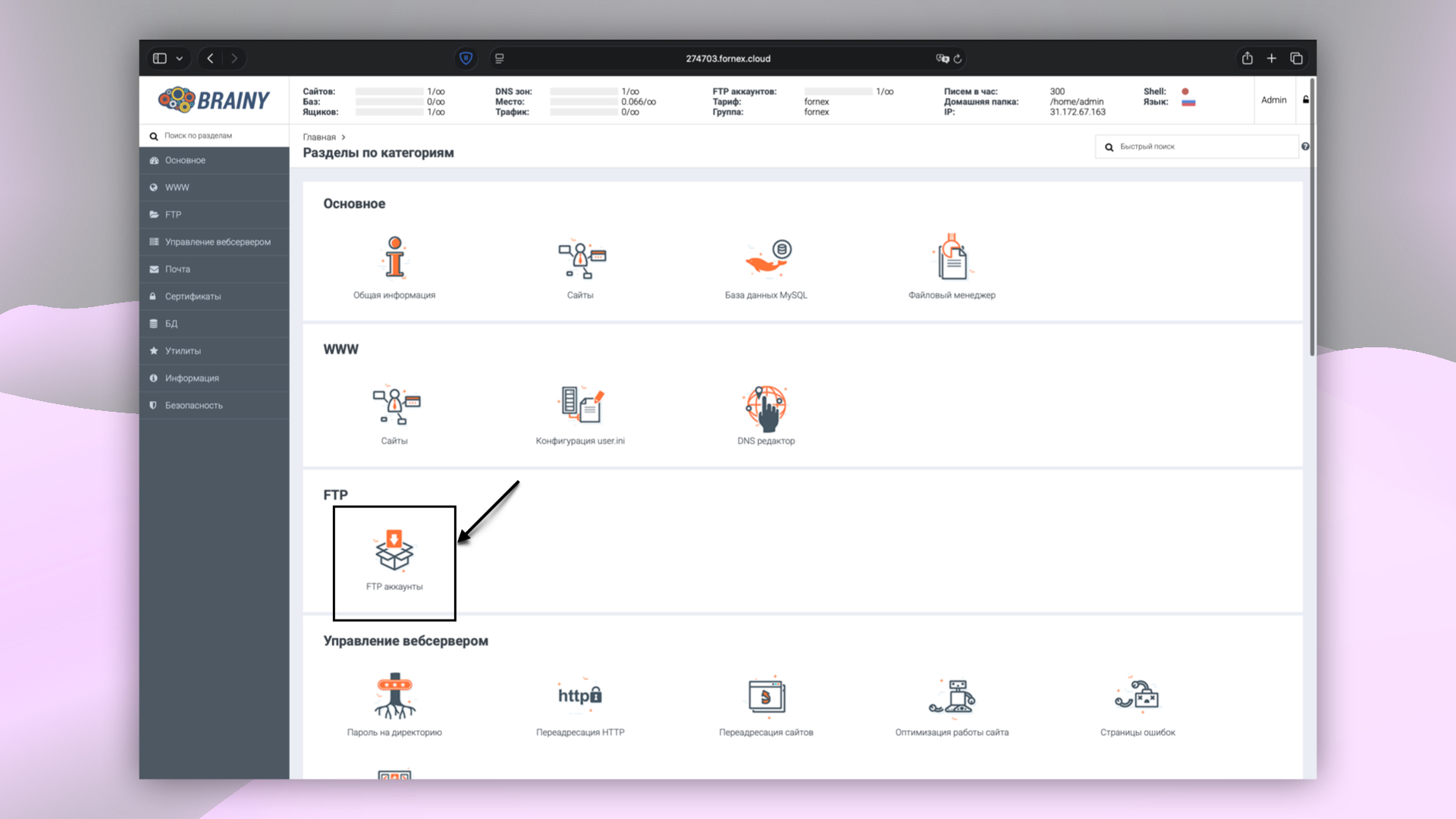 Разделы панели управления BrainyCP