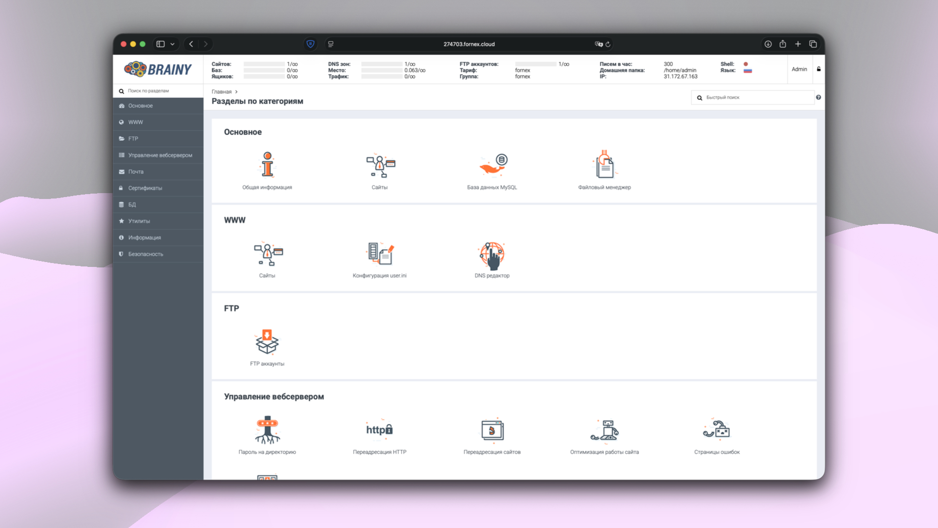 Разделы панели управления BrainyCP