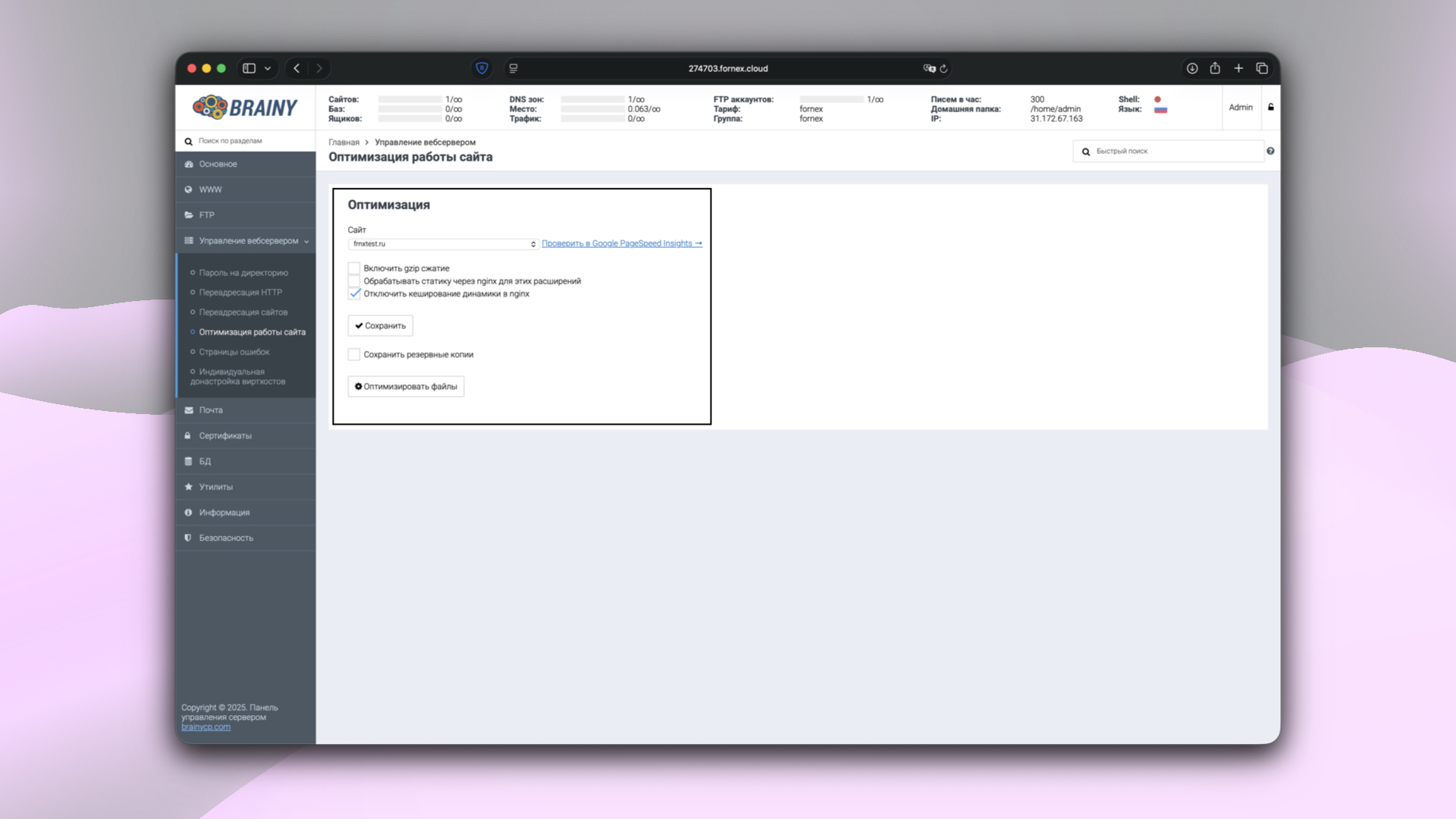 Оптимизация работы сайта в BrainyCP