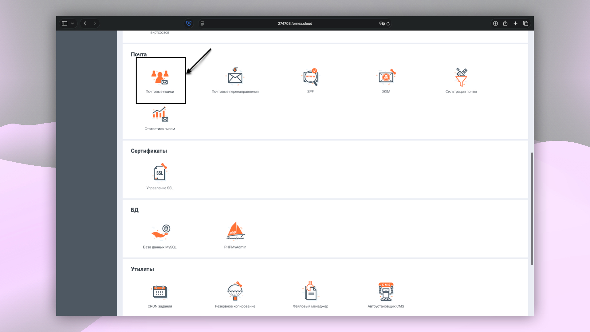 Разделы панели управления BrainyCP