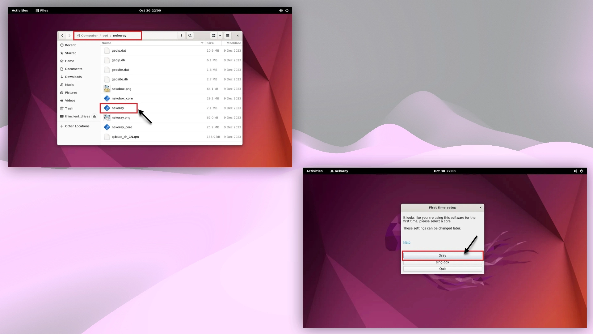 Nekoray в каталоге