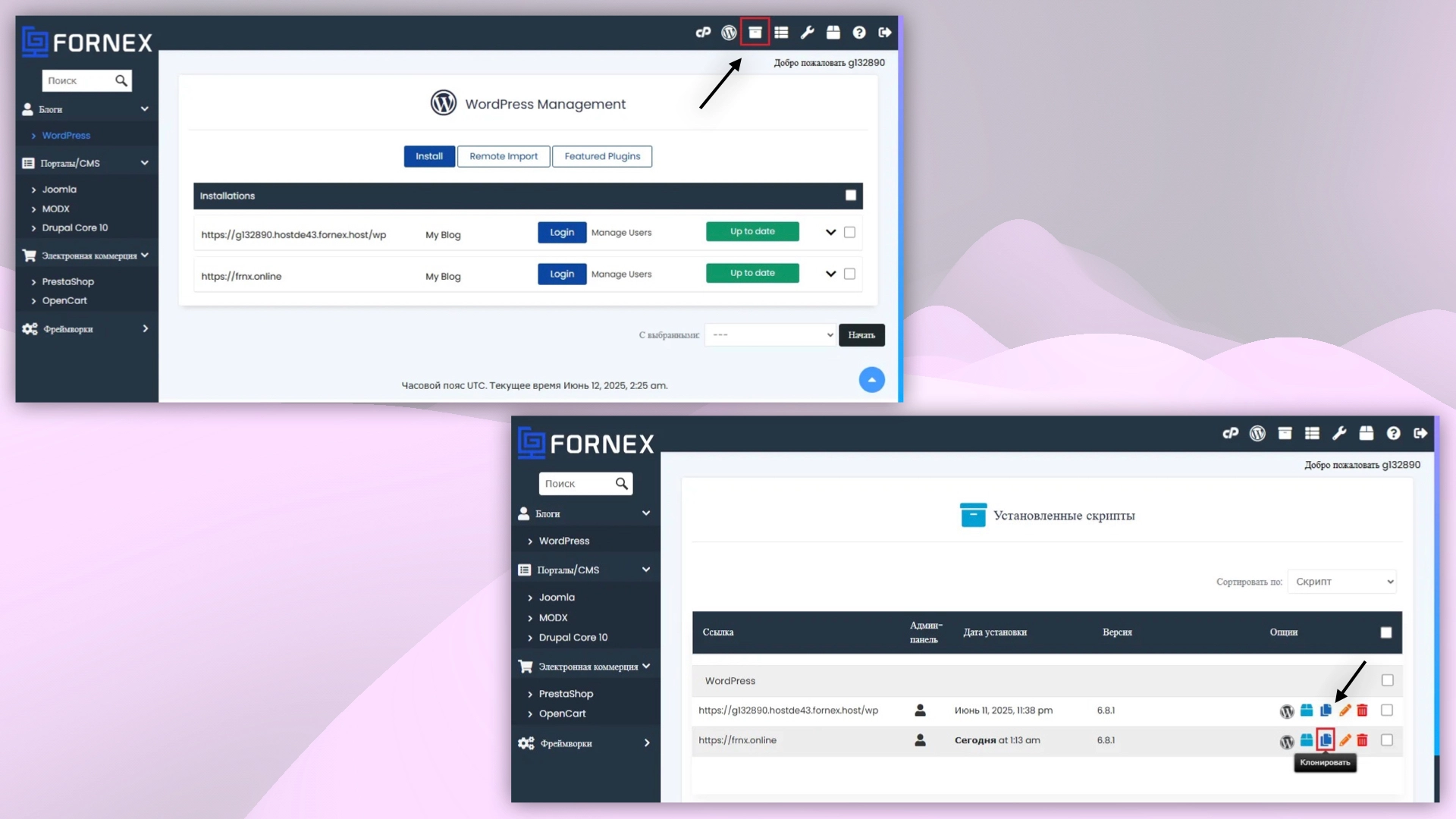 Клонирование с помощью WordPress в cPanel