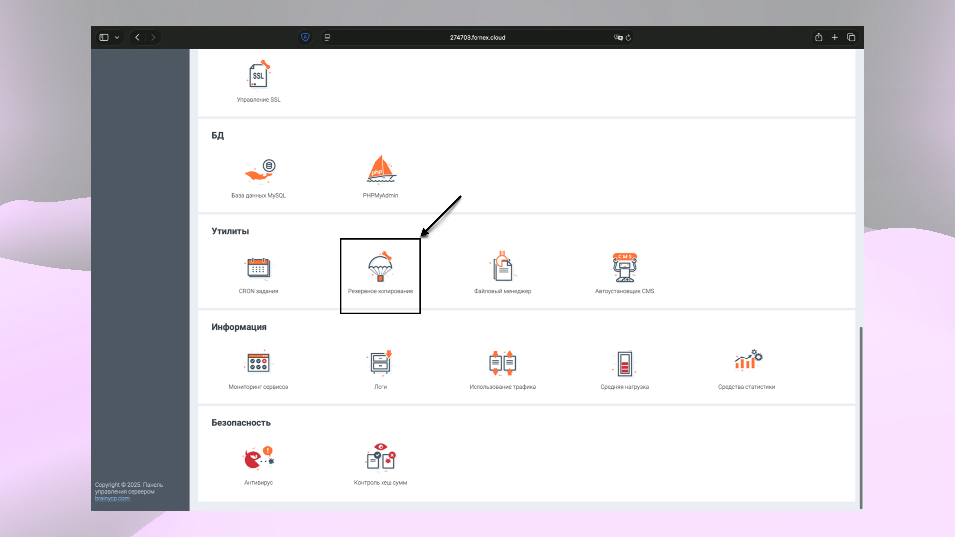 Разделы панели управления BrainyCP